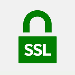 Desarrollo de paginas web en el salvador vertikal (2)