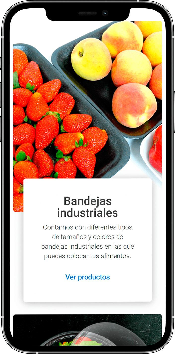 diasa ecommerce our work