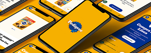 banner-for-more-porjects